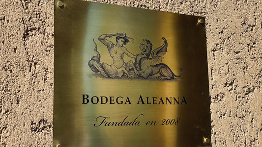 A Toast to Love and Legacy at Bodega El Enemigo and Casa Vigil